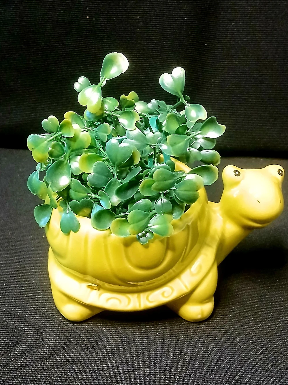 Lime Green Turtle Ceramic Planter for Succulents